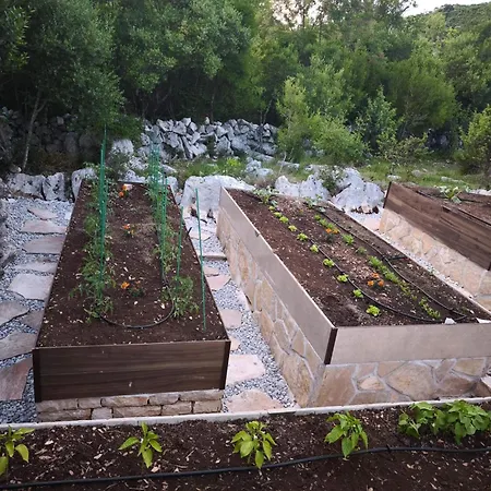 Βίλα Ilir Neum